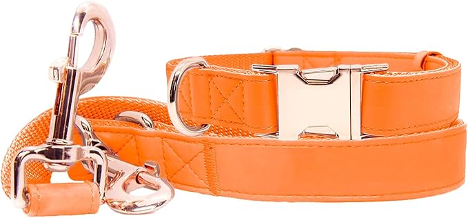 Soft Leather Dog Collar and Leash (6.6') Set - Stylish Rose Gold Heavy Duty Metal Buckle, 4 Adjustable Lengths Leash for Small Medium Large Dogs - Comfortable & Easy to Clean Orange XS(8"-12")