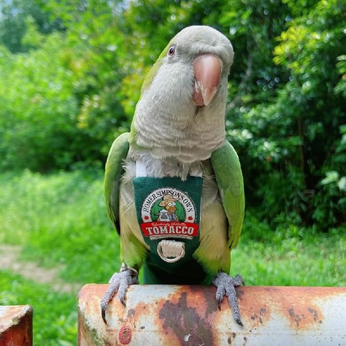 Bird Clothes Parrot diapers bird flight suits, reusable waterproof diapers pet bird supplies (2XL)