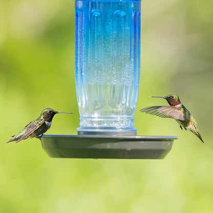 Kingsyard Glass Bird Water Dispenser for Outdoor, 16 Oz, Bird Water Feeder with Metal Hanging for Garden Yard Fence Decoration Hummingbird Cardinal Bluebird Finch, Blue