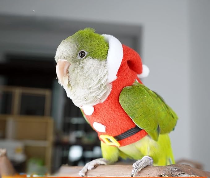 Bird Clothes Birds Flight Suit, Christmas Hoodie for Parrots Cockatiel Sun Conure Christmas Party Cosplay Photo Prop Bird Shirt Small Animals Apparel (Without Diaper,Macaw)
