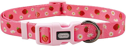 Dog Collar Leash Set, Floral Pattern, Polyester Material, Adjustable Collar and 5ft Matchcing Leash, for Large Dogs.(L, Daisy and Strawberry)