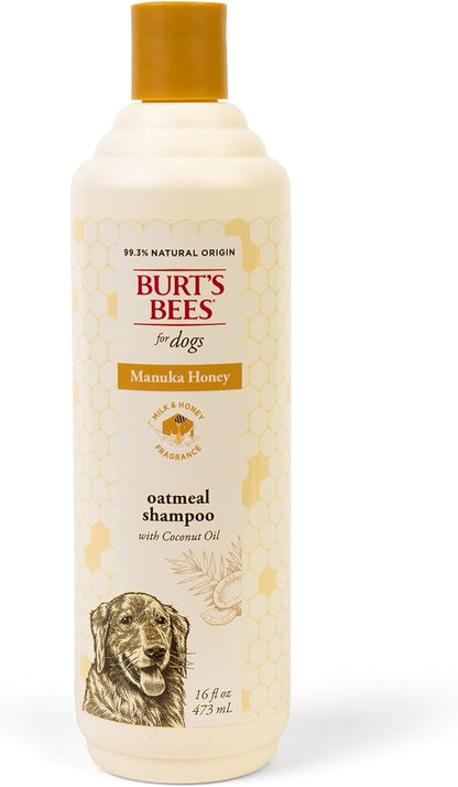 Burt's Bees for Pets Manuka Honey Oatmeal Shampoo for Dogs, Colloidal Oatmeal & Coconut Oil, 95%+ Natural Origin, No Sulfates, Parabens or Phthalates, Milk & Honey Scent, 16 Fl Oz