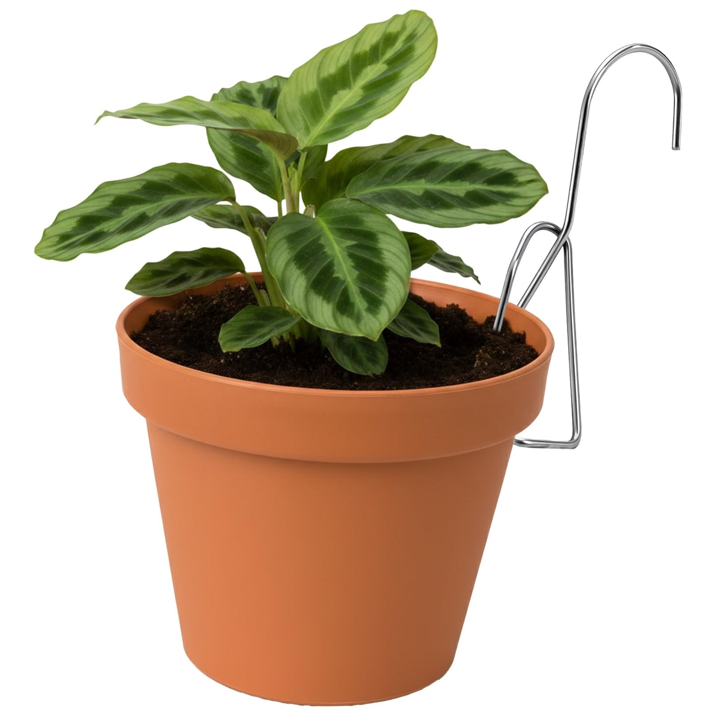 Suwimut 30 Pack Terracotta Pot Hangers, Stainless Steel Flower Pot Clips for Clay Pots, Wall and Fence Mounted Vertical Hanging Metal Plant Pots Hook for Indoor Outdoor Patio Balcony Garden Plants