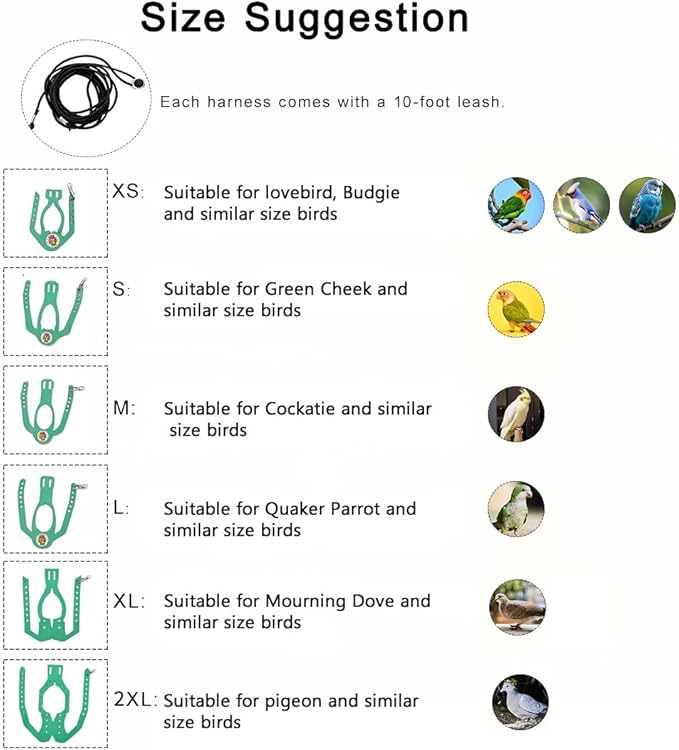 Adjustable Bird Harness & Leash Set for Small Birds,FitsBudgie,Parakeets, Conures, Cockatiels,Green Cheek,Quaker Parrots(Green, 2XL) Z6350-14