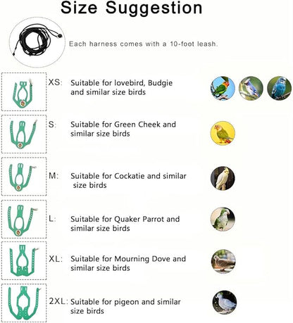 Adjustable Bird Harness & Leash Set for Small Birds,FitsBudgie,Parakeets, Conures, Cockatiels,Green Cheek,Quaker Parrots(Green, XL) Z6350-13