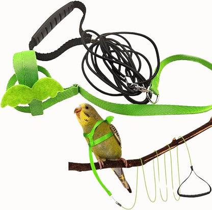 Pet Parrot Bird Harness and Leash, Adjustable Training Design Anti-Bite, Bird Nylon Rope with Cute Wing for Parrots, Suitable for Macaw Cockatoo Cockatiel Lovebird Conure African Grey (Green,XS)