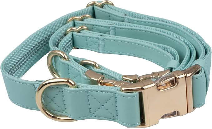 Leather Dog Collar and Leash Set 7FT Reflective at Night - Soft and Easy to Clean Vegan Leather with Gold Metal Buckle for Small Medium Large Dogs (S, Sea Green)