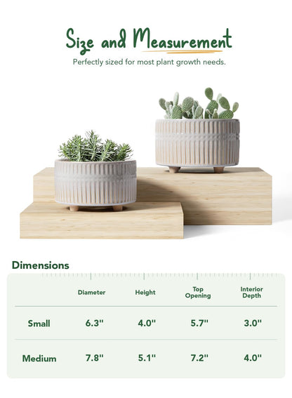 LE TAUCI Succulent Pots, 6.5+8 Inch Ceramic Indoor Plant Pot with Drainage Hole, Shallow Round Succulent Planters, Set of 2, Reactive Glaze Star White