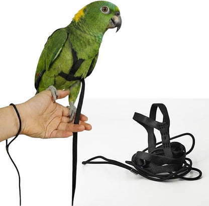 Adjustable Bird Harness and Leash for Parrots Outdoor Flight Training Anti-Bite Light Weight Easy-to-Wear Bird Vest with 59 Inch Elastic Leash for Quaker Conure African Grey Macaw Cockatoo (L)