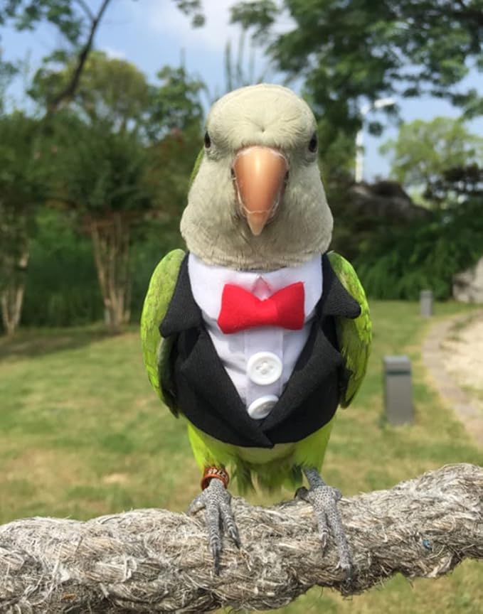 Bird Clothes Birds Flight Suit,Tuxedo Business Suit for Parrots African Greys Parakeet Cockatiel Sun Conure Christmas Party Birthday Cosplay Photo Prop Small Animals Apparel (4XL,Black Suit)