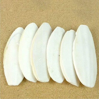 2PCS Natural Cuttlebone for Tortoise Turtles Snails Birds Cockatiels Parakeets Budgies Reptiles Small Animals(4"-4.5",Small)