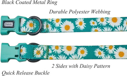 Dog Collar and Leash Set, Cute Daisy Pattern, Polyester Material, 5ft Leash, for Medium Dogs.(Medium,Green Daisy)