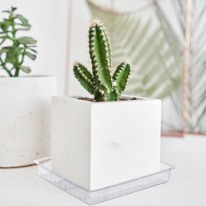 DoubleFill 21 Pieces Plastic Plant Tray Saucer Rectangular 6'' 8'' 10'' Clear Thick Sturdy Square Plant Saucer Drip Trays for Pots Window Sills and Window Shelf Indoor Outdoor Garden
