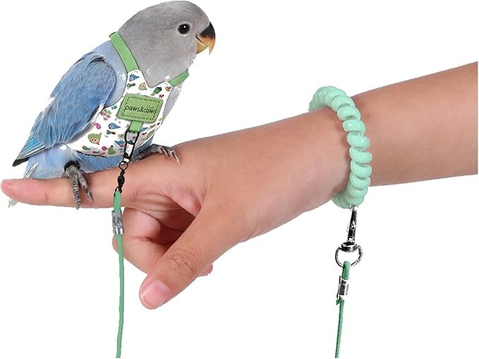 Bird Harness Leash Set Adjustable Vest Anti-Lost Wrist Strap for Parakeet Cockatiel Conure Lovebird (Green, Quaker Parrot/Golden Sun Conure/Indian Ringneck Parakeet 12 * 7cm/6g)