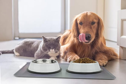 Stainless Steel Dog Bowls, Food and Water Non Slip Anti Skid Stackable Pet Puppy Dishes for Small, Medium and Large Dogs (2 Pack)
