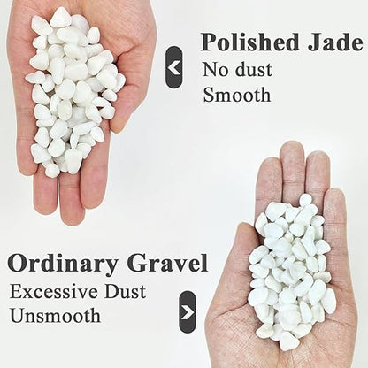 YISZM 2LB Succulent and Cactus Gravel Pebbles, 3/8 Inch Natural Decorative Polished Stones, River Rocks for Plants, Vases, Aquariums, Terrarium and Outdoor Gardening, White