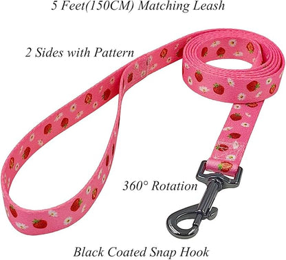 Dog Collar Leash Set, Floral Pattern, Polyester Material, Adjustable Collar and 5ft Matchcing Leash, for Medium Dogs.(M,Daisy and Strawberry)