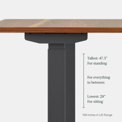 Branch Duo Standing Desk 36 Inches - Adjustable Standing Desk with 20” Range - OLED Control Panel - Frameless Design & Compact Size Suitable for Many Spaces - White Base - Walnut Top