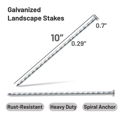 10 Inch Galvanized Landscape Stakes 50 Pack Heavy Duty Metal Anchoring Spikes Garden Nails for Paver Edging, Camping Tent, Weed Barrier, Artificial Turf, Carpentry and More