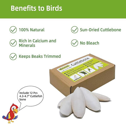 4.3"-4.7" Cuttlebone for Birds,Parakeets Cuddle Bone Beak Trimming,Premium Calcium Natural Cuttlefish Bone for Parrot,Cockatiel,Budgie,Tortoise, Snails,Reptiles,12 Pcs