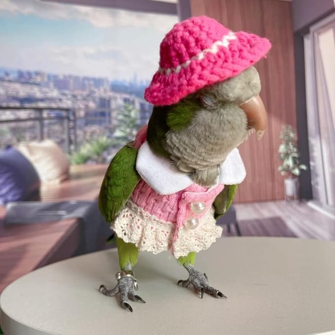 Bird Diaper Flight Suit - Pink Top Bird Clothes Cosplay Photo Prop for Parrots, Lovebirds, Parakeets, Cockatiels & Small Animals (Senegal)