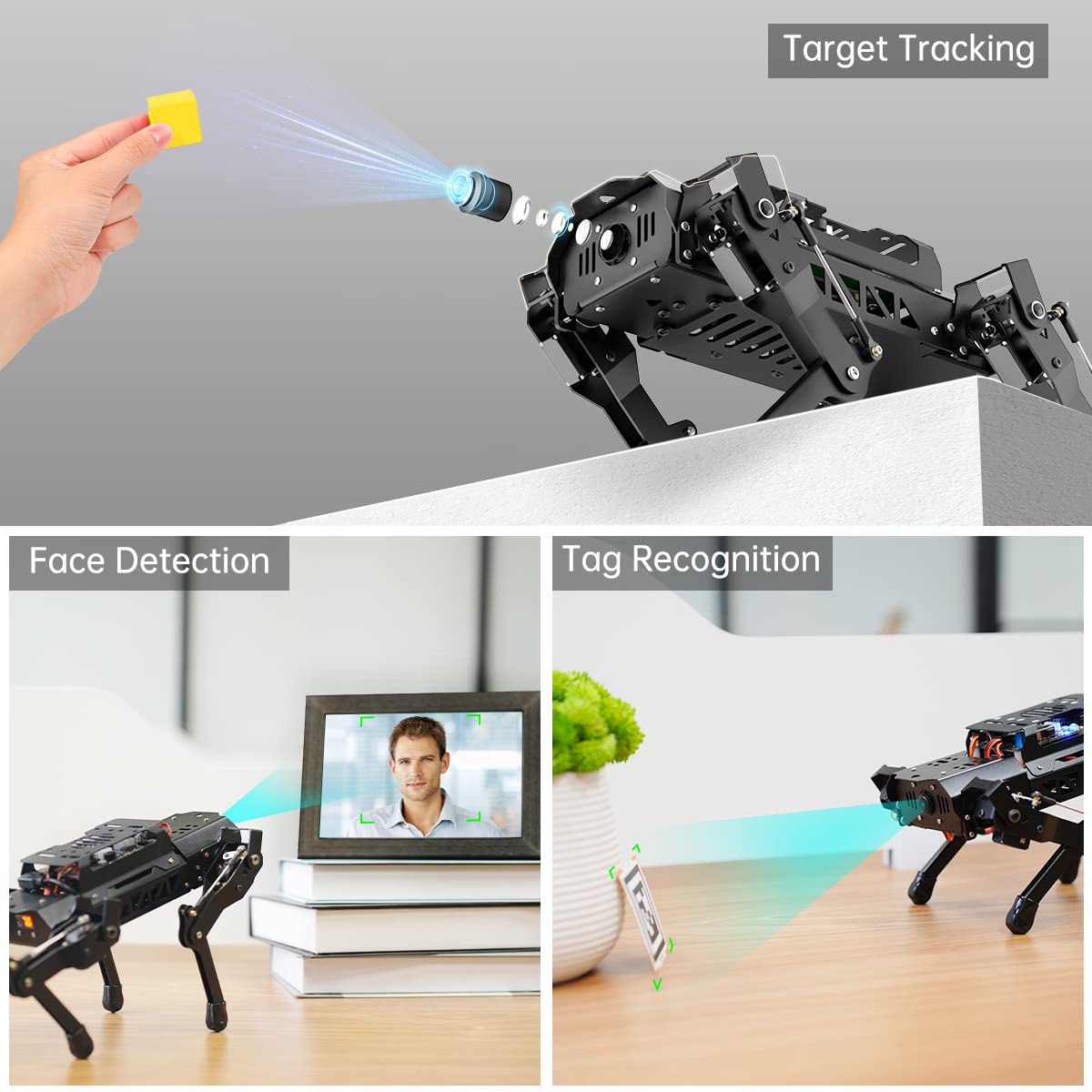 PuppyPi Robot Dog with ChatGPT Large AI Models AI Embodied Intelligence ROS Robotic Dog Vision Scene Voice Understanding SLAM Mapping Navigation Bionic Quadruped Robot, Pro Kit & RaspberryPi5 4GB