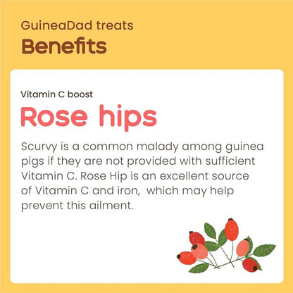 GuineaDad Organic Guinea Pig Herbal Treats - Guinea Pig Food with Convenient Packaging - Rose Hip Flavor - 16 fl oz - Guinea Pig Treats Help with Bonding - High in Nutrition, Immune Support - Large