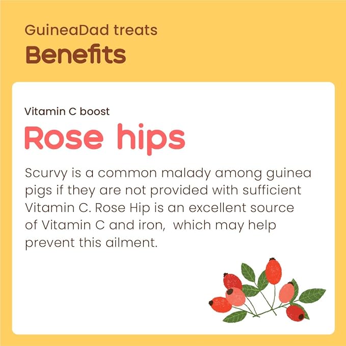 GuineaDad Organic Guinea Pig Herbal Treats - Guinea Pig Food with Convenient Packaging - Rose Hip Flavor - 10 fl. oz - Guinea Pig Treats Help with Bonding - High in Nutrition, Immune Support - Small