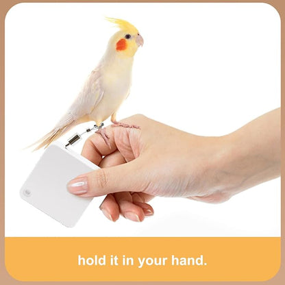 Bird Flying Harness - Parrot Rope, Comfortable Foot Loop, Strong Elastic Lead | Secure Outdoor Leashes for Conure Cockatoo Budgies Parakeet Macaw Parrotlet Daily Flying Training Walking Adventure