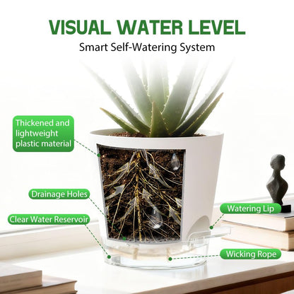 KEETUMOOD Self Watering Pots for Plants, 2026 New Flower Plant Pots with Drainage Holes, Wicking and Clear Reservoirs for Succulent, Aloe, Cacti and Others - 6 Pack (White, 6")