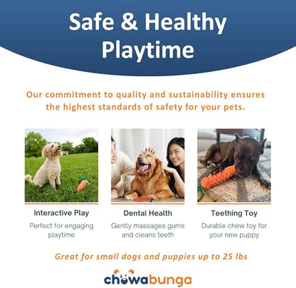 Tug of War Dog Toy 12 Inch Eco Cotton Interactive Dog Rope Toy with Grip Handle & Rope Tug Ball with Natural, Non-Toxic Dyes Tug Toy for Medium & Small Dogs (Rainbow)