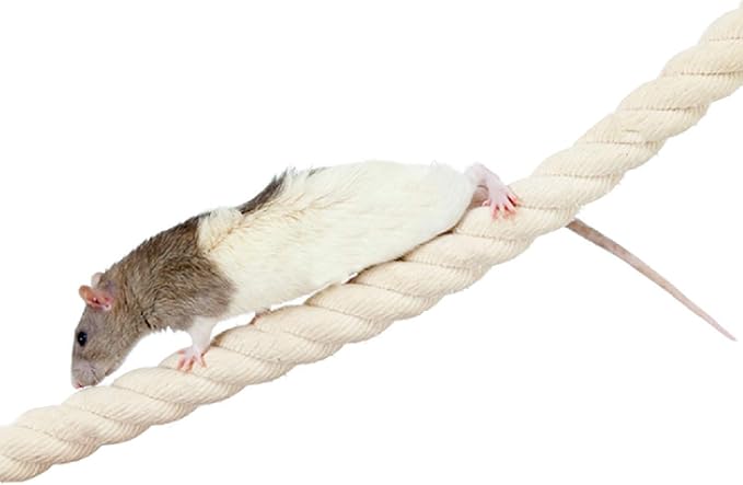 42 Inch Natural Rope (Regular) - Flexible Bendable Climbing Rope Perch Cage Accessory Toy - Sugar Gliders, Squirrels, Degus, Marmosets, Monkeys, Parrots, Birds, Rats & Other Small Pets