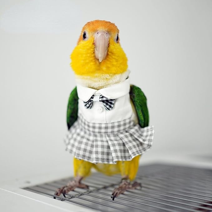 Bird Costume Bird Diaper Flight Suit Cute JK Dress Dress Skirt Clothes Cosplay Photo Prop for Parrots Macaw Cockatoo (Without Diaper,XL)