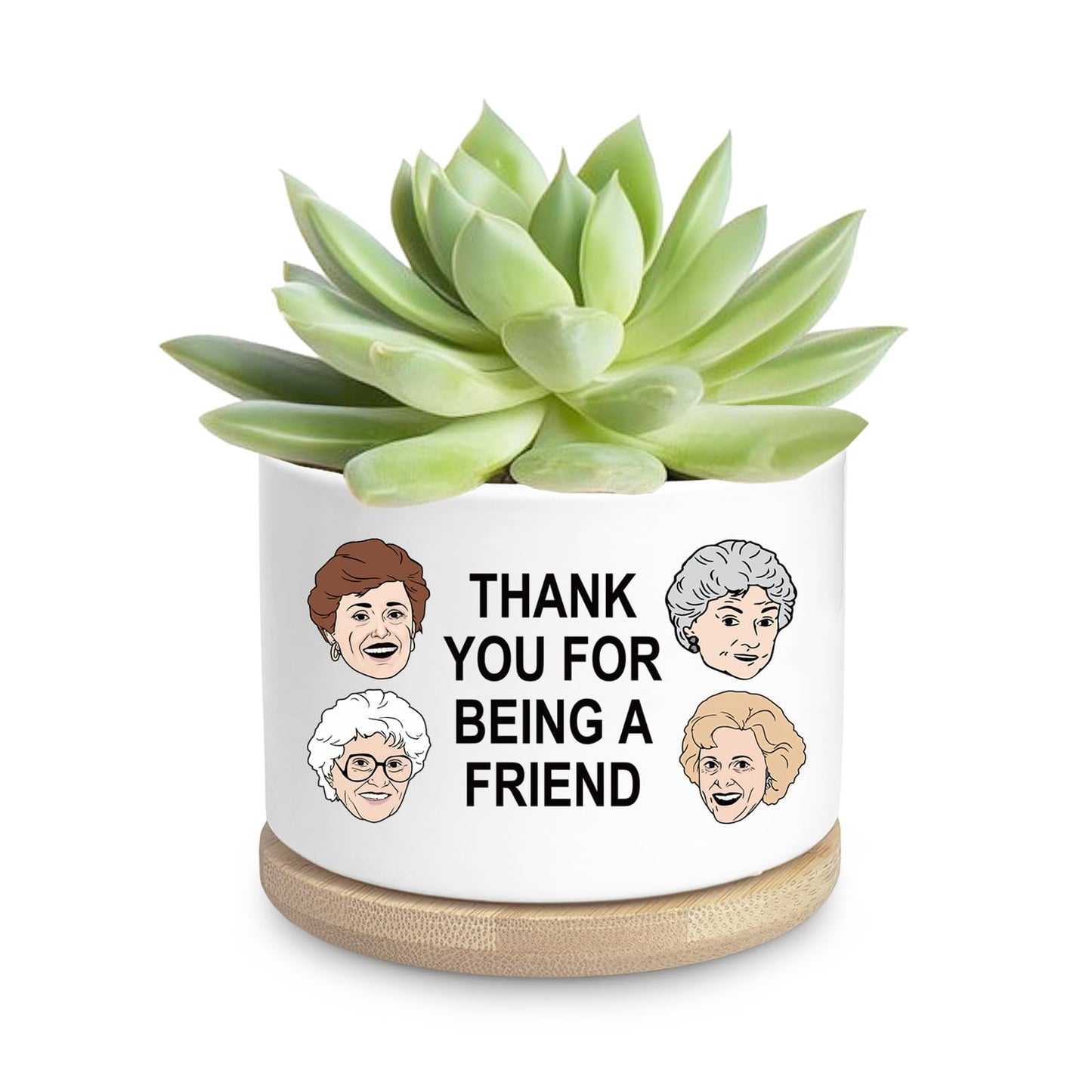 Friend Gifts for Women, Funny Succulent Planter, Flower Cactus Plant Pot, Friendship Gifts for Friend Bestie Sister Birthday, Thank You for Being a Friend Golden Girls Merchandise (Plant Not Included)