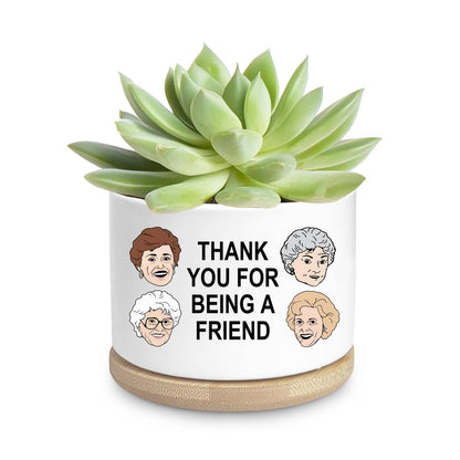 Friend Gifts for Women, Funny Succulent Planter, Flower Cactus Plant Pot, Friendship Gifts for Friend Bestie Sister Birthday, Thank You for Being a Friend Golden Girls Merchandise (Plant Not Included)