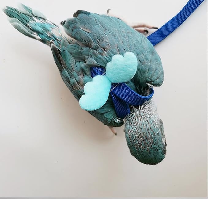 Pet Parrot Bird Harness Leash Adjustable Bird Flying Harness Traction Rope with Cute for Parrots Budgerigar Lovebird Cockatiel Mynah Outdoor Training Toy (Mannikin/Finch,Blue)