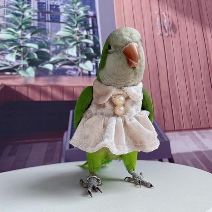 Bird Costume Bird Diaper Flight Suit Parrot Velvet Fleece Skirt Clothes Cosplay Photo Prop for Conure Lovebird Parakeet Cockatiel Macaw Small Animals Apparel (White,Small)