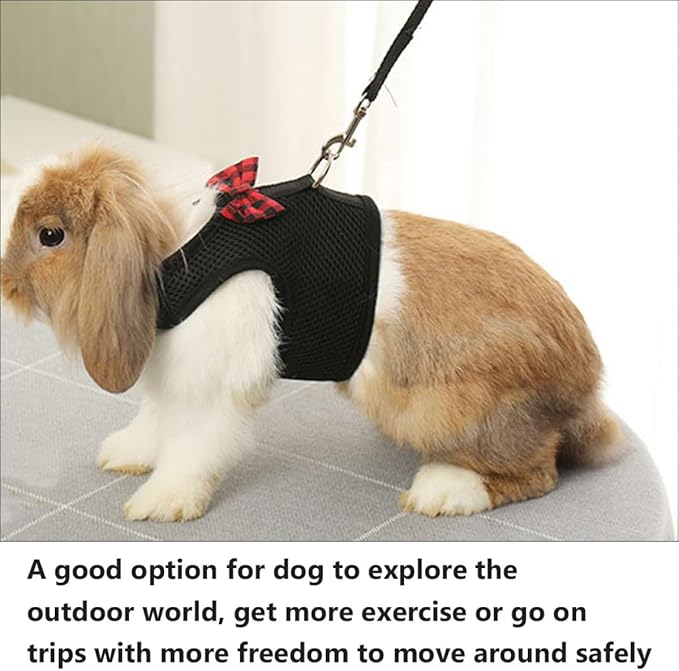 DOITOOL Pet Harness Set Breathable Mesh Vest Type Chest Strap for Small Pets Black L Size 35-40cm Chest Circumference Suitable for Rabbits Guinea Pigs Squirrels