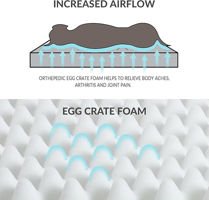 Patas Lague Orthopedic Dog Bed Large Sized Dog 36''X24'',Soft Waterproof Egg Crate Foam Medium Pet Crate Beds Mat with Removable Washable Cover and Non-Slip Bottom, Black