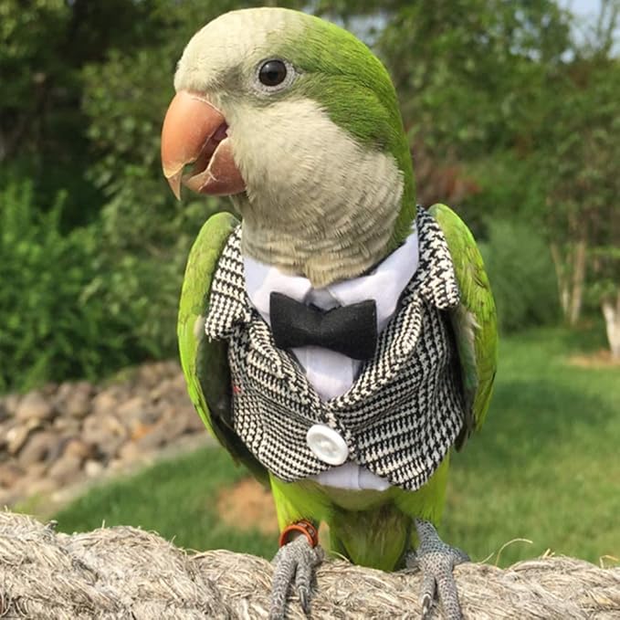 Bird Clothes Birds Flight Suit,Tuxedo Business Suit for Parrots African Greys Parakeet Cockatiel Sun Conure Christmas Party Birthday Cosplay Photo Prop Small Animals Apparel (5XL,Grid Suit)
