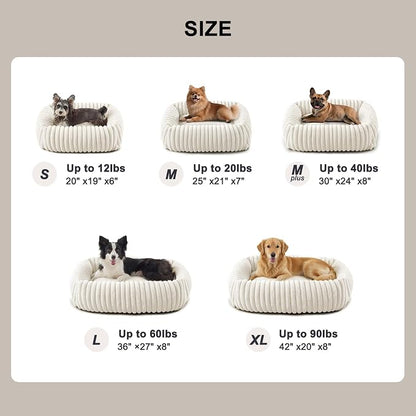 FURTIME Dog Bed Medium Size Dog, Washable Orthopedic Pet Bed with Removable Cover, Rectangle Soft Calming Sleeping Puppy Bed Durable Pet Cuddler with Anti-Slip Bottom, Cream, M Plus (30"x24"x8")