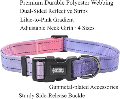 Dog Collar Leash Set, Gradient Color, with Safety Reflective Strips, 5 ft Matching Leash, Neoprene Padded Handle, Adjustable 4 Sizes for Small Medium Large Dogs.(XS, Lilac Pink)