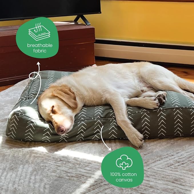 Molly Mutt Forever Young Dog Bed Duvet Cover, GOTS-Certified 100% Organic Cotton Canvas Cover for Dog, Puppy, or Cat Bed, Durable, Washable, and Free of Harmful Chemicals, Round, 36"x5"