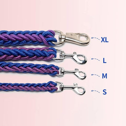 Love Dream Dog Collar and Leash Set, Heavy Duty Nylon Braided Rope Strong 4 FT Dog Leash and Martingale Training Collar for Small Medium Large Dogs Training and Walking (Pink)