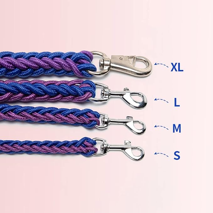 Love Dream Dog Collar and Leash Set, Heavy Duty Nylon Braided Rope Strong 4 FT Dog Leash and Martingale Training Collar for Small Medium Large Dogs Training and Walking (Green & Black)