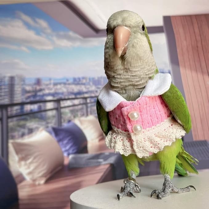 Eclectus Bird Diaper Flight Suit - Pink Top Cosplay Photo Prop for Parrots, Lovebirds, Parakeets & Cockatiels