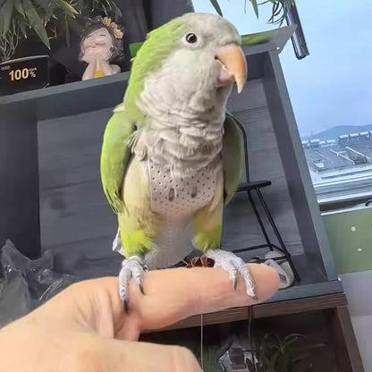 Premium Genuine Cowhide Bird Flight Harness Anti Bite Breathable Parrot Diaper Parrot Suit with Leash for Parakeet Conure Quaker Flying Clothes Rope and Handle (with Leash,Pigeon)