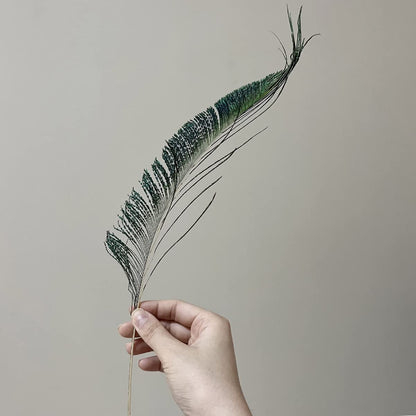 50pcs Natural Peacock Sword Feathers 12-14 Inch for Home Decor Wedding Party Vase Decoration Hat Costume DIY Crafts Floral Arrangements Christmas Tree Ornaments (25 Left & 25 Right)