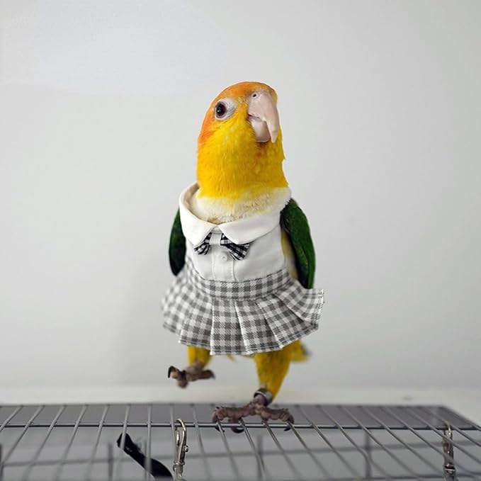 Bird Costume Bird Diaper Flight Suit Cute JK Dress Dress Skirt Clothes Cosplay Photo Prop for Parrots Macaw Cockatoo (Without Diaper,Macaw)