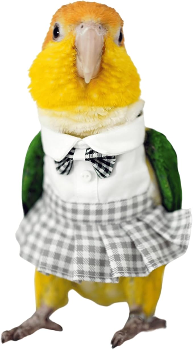 Bird Costume Bird Diaper Flight Suit Cute JK Dress Dress Skirt Clothes Cosplay Photo Prop for Parrots Macaw Cockatoo (with Diaper,L)
